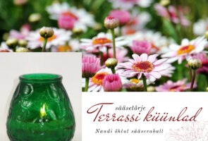 Ristimine ja lein