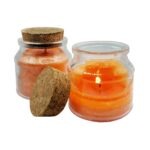 Sääsetõrje potsik 100ml